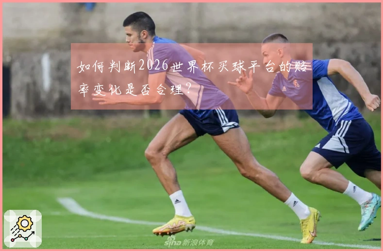 如何判断2026世界杯买球平台的赔率变化是否合理？