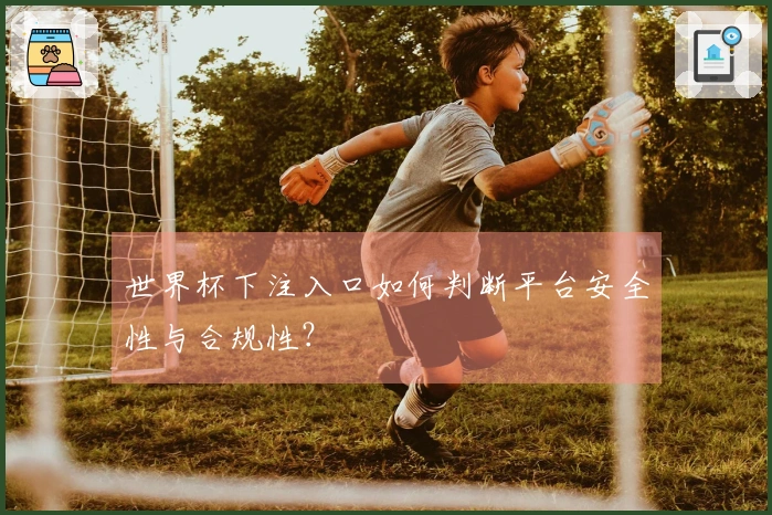 世界杯下注入口如何判断平台安全性与合规性？
