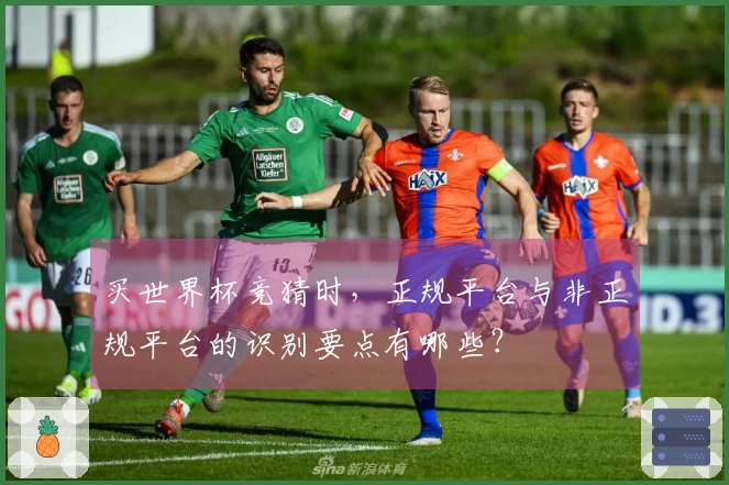 买世界杯竞猜时，正规平台与非正规平台的识别要点有哪些？